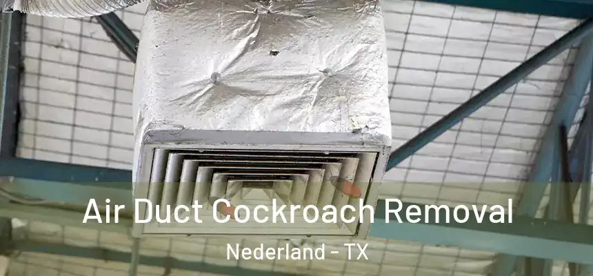 Air Duct Cockroach Removal Nederland - TX