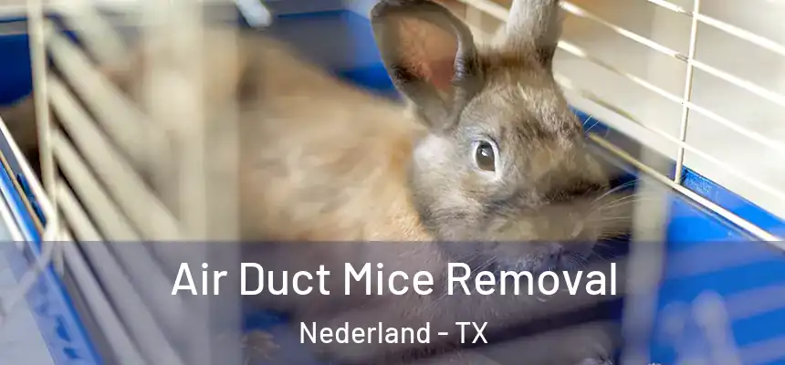  Air Duct Mice Removal Nederland - TX