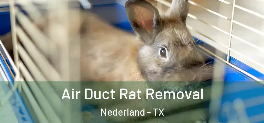  Air Duct Rat Removal Nederland - TX