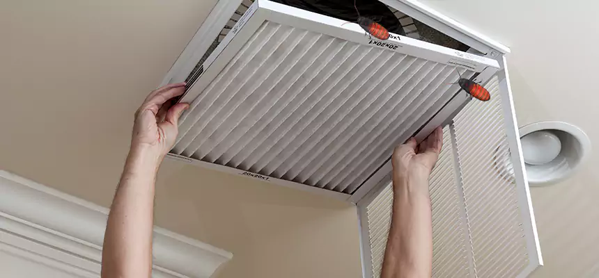 Preventive Cockroach-Proofing for Ducts in Nederland