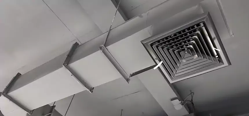 Our Pest Removal From Ducts Services in Nederland, TX