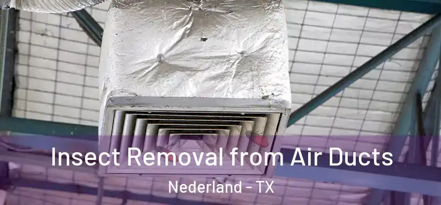  Insect Removal from Air Ducts Nederland - TX
