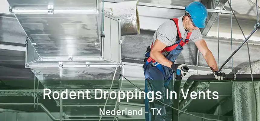  Rodent Droppings In Vents Nederland - TX