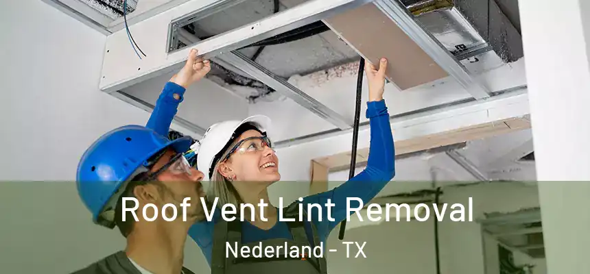  Roof Vent Lint Removal Nederland - TX