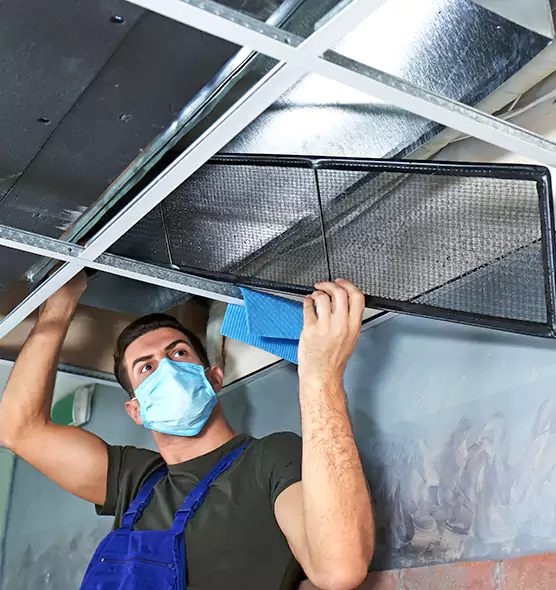 Professional Air Duct Pollen Cleaning in Nederland, TX