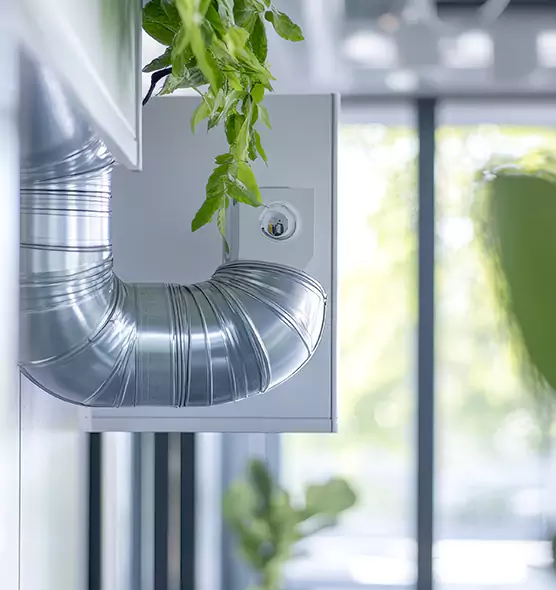 Professional Eco-Safe Dryer Vent Cleaning in Nederland, TX