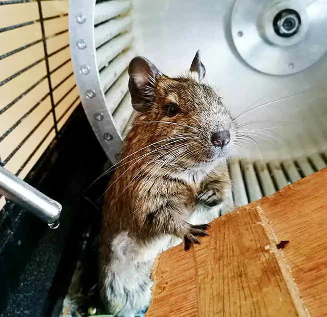 Why Homeowners & Businesses Trust Us Nederland, TX