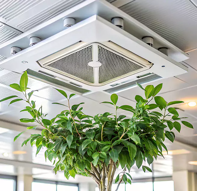 Why Homeowners & Businesses Trust Us in Nederland, TX