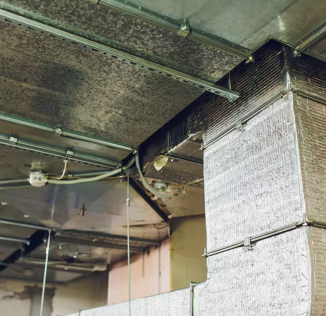 Why Homeowners & Businesses Trust Us in Nederland, TX?